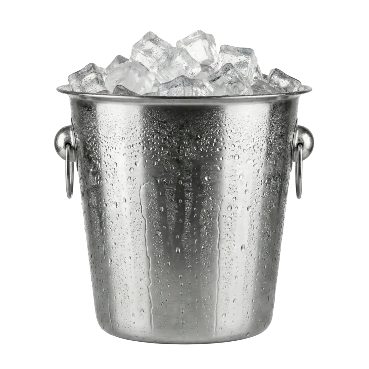 Ice Bucket